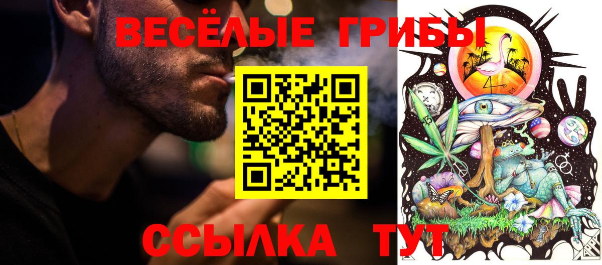 Галлюциногенные грибы Psilocybe Волгодонск