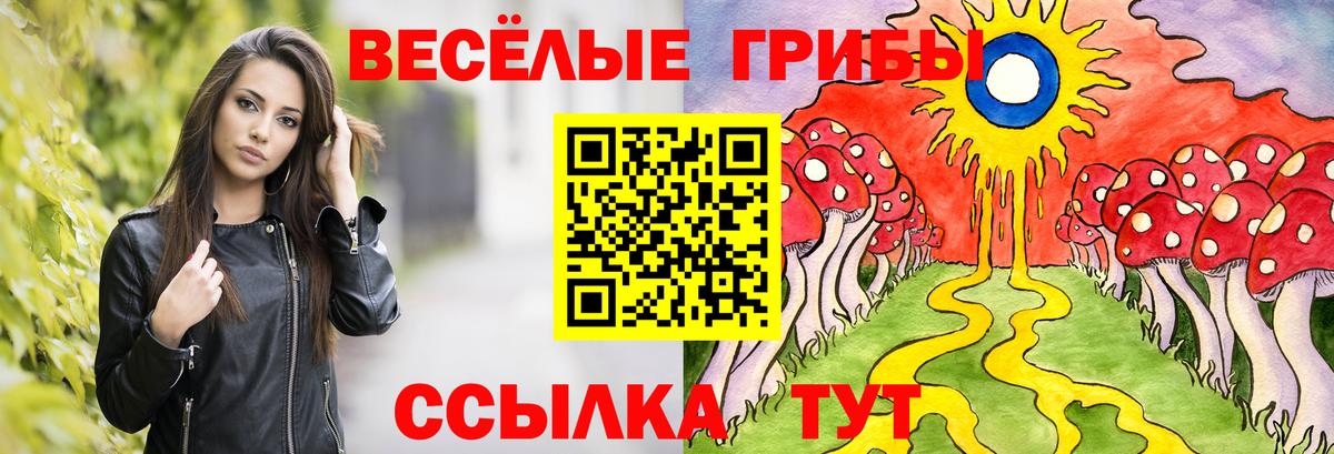 Волгодонск  Галлюциногенные грибы Psilocybine cubensis  Вход с VPN 